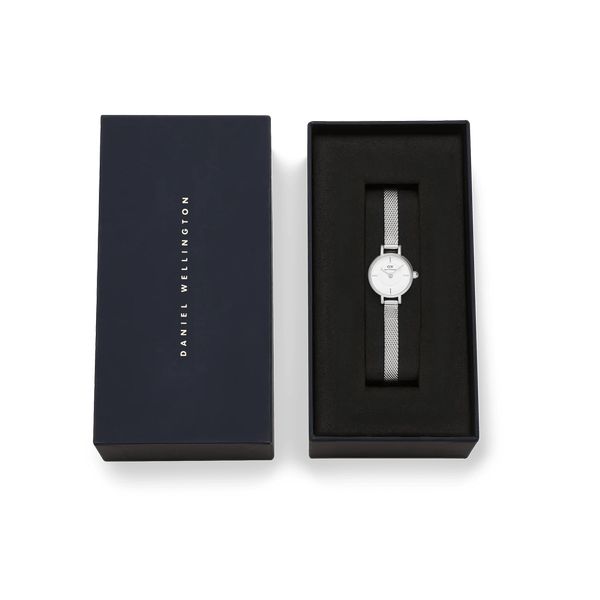 daniel wellington - petite mini sterling